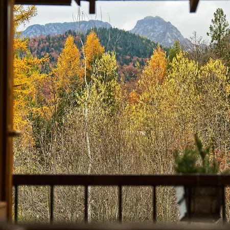 Domek I Apartamenty Ptys Zakopane Eksteriør bilde
